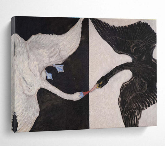 Black and White Swans “Contrasting Avian Encounter” Painting On Canvas DKH125